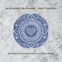 David Hasert & Beatamines - Sweet Harmony