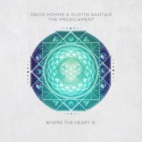 David Hohme & Dustin Nantais - The Predicament