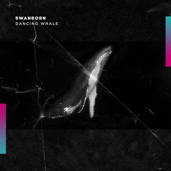 Swanborn - Dancing Whale