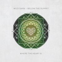 Wild Dark - Below The Summit