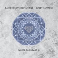 David Hasert & Beatamines - Sweet Harmony