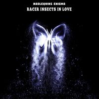 Harlequins Enigma - Racer Insects in Love