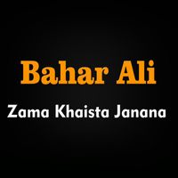 Bahar Ali - Zama Khaista Janana