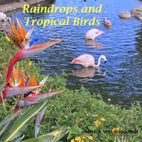 Patrick Von Wiegandt - Raindrops and Tropical Birds