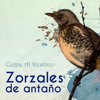 Charlie Figueroa - Zorzales de Antaño… Culpa Al Destino