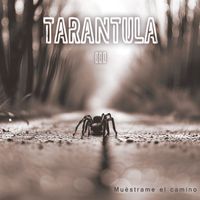 Tarantula - Muéstrame El Camino
