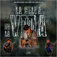 Mario Castro Y Sus Tipos De Sinaloa - La Selva De La vida (En Vivo)