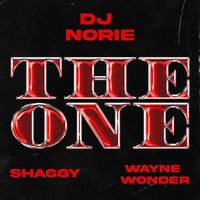 DJ Norie - The One (ft Shaggy & Wayne Wonder)