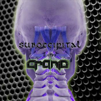 Cranio - Suboccipital