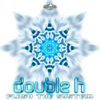 Double H - Flash the System