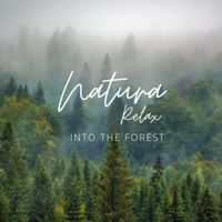 Natura Relax and Enchanted Sounds - Into the forest