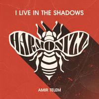 Amir Telem - I Live In The Shadows