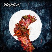 Squawk - The Fool