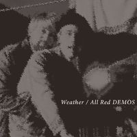 the Roof Dogs - Weather / All Red Demos