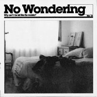 Zealyn - No Wondering (Explicit)