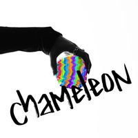 PRSNT - Chameleon