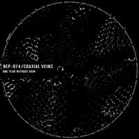Coaxial Veins - One Year Without Rain