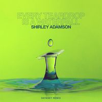 Shirley Adamson - Every Teardrop Is a Waterfall (Dataset Remix)