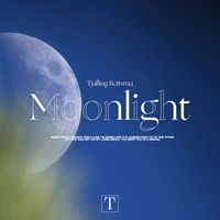 Tjalling Reitsma - Moonlight