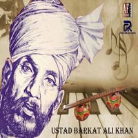 Ustad Habib Ali Khan - BEENKAR (INSTRUMENTAL)