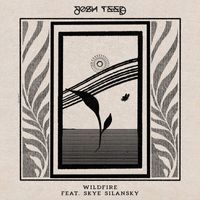 Josh Teed - Wildfire