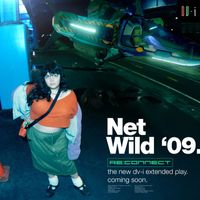 DV-i - Net Wild '09