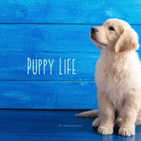 MaxKoMusic - Puppy Life