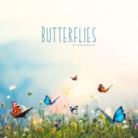 MaxKoMusic - Butterflies