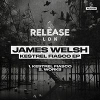 James Welsh - Kestrel Fiasco