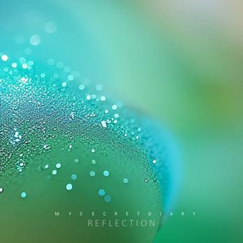 My Secret Diary - Reflection