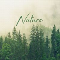 NS Records - Nature