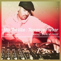 Terrence Parker - Mix The Vibe: Deeep Detroit Heat