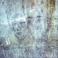 Jim White - Drill a Hole in that Substrate and Tell Me What You See (Deluxe Version)