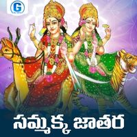 Lalitha Sagari - Sammakka Jathara