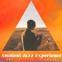 Ambient Jazz Ensemble - Ambient Jazz Experience