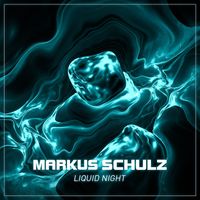Markus Schulz - Liquid Night