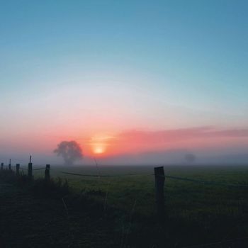 William Edessa - Dawn