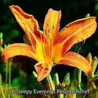Baby Lullaby - 30 Sleepy Evenings Respite Relief
