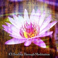 Guided Meditation - 43 Healing Through Meditation