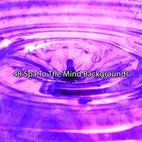 Brain Study Music Guys - 48 Spa To The Mind Backgrounds