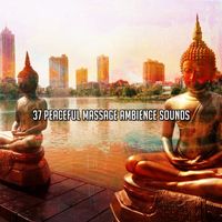 Calm Music - 37 Peaceful Massage Ambience Sounds