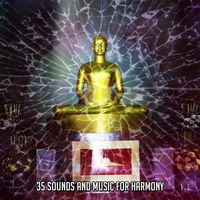 Forest Sounds - 35 Sounds And Music For Harmony