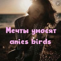 Anies Birds - Мечты уносят