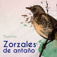 Orquesta Típica Victor - Zorzales de Antaño… Tesorito