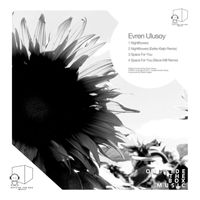Evren Ulusoy - Nightflowers