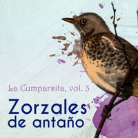 Varios Artistas - Zorzales de Antaño… La Cumparsita, Vol. 3
