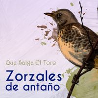 Orquesta Adolfo Carabelli - Zorzales de Antaño…Que Salga El Toro