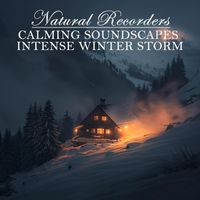 Natural Recorders - Calming Soundscapes Intense Wınter Storm