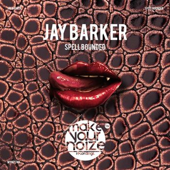 Jay Barker - Spell Bounded