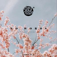 Shottle - No Words